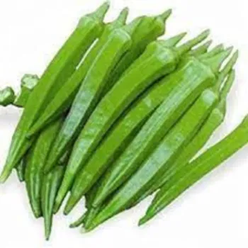 Organic Lady Finger